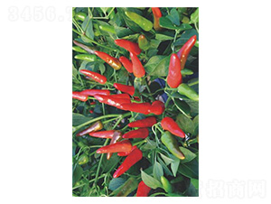 ����112-���콷�N��-�����N�I(y��)