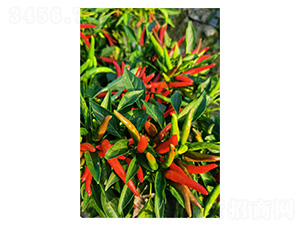 ����131-���콷�N��-�����N�I(y��)