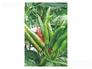 ����153-���콷�N��-�����N�I(y��)