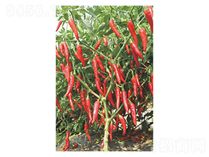 ����474-���ؽ��N��-�����N�I(y��)