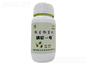 ΢�������-����һ̖-��������