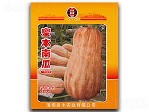 �۱��Ϲ�-�ϹϷN��-���P��