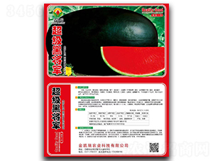 ����(j��)�ڌ�܊-���ϷN��-���P��