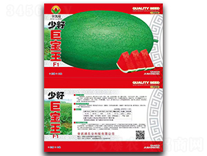 ���Ѿތ���F1-���ϷN��-���P��