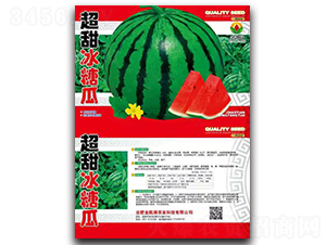 ������ǹ�-���ϷN��-���P��