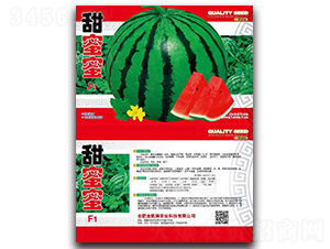 ������F1-���ϷN��-���P��