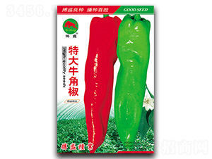 �ش�ţ�ǽ�-ţ�ǽ��N��-��ʢ�N�I(y��)