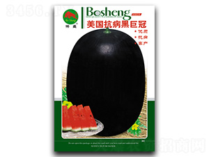 ���������ھ޹�-���ϷN��-��ʢ�N�I(y��)