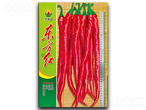 �|���t-�����N��-���P��