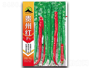 �F�ݼtF1-�����N��-���P��