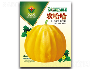 �r(n��ng)����-��ϷN��-���P��