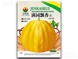 �M�@�h��-��ϷN��-���P��