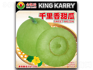 ǧ�������-��ϷN��-���P��