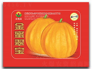 ���۴䌚-��ϷN��-���P��