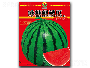 ���������-���ϷN��-���P��