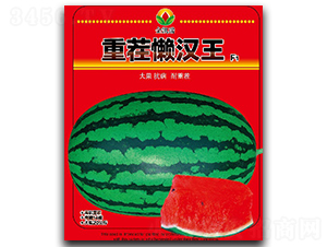 �ز�Нh��-���ϷN��-���P��