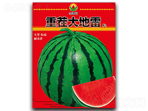 �ز�����-���ϷN��-���P��