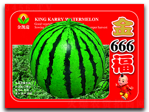 ��666��-���ϷN��-���P��