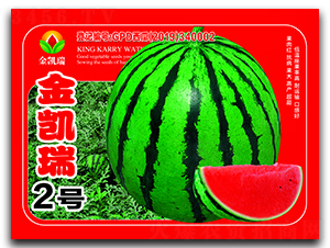 ���P��2̖(h��o)-���ϷN��-���P��