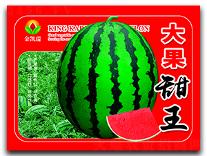 �������-���ϷN��-���P��