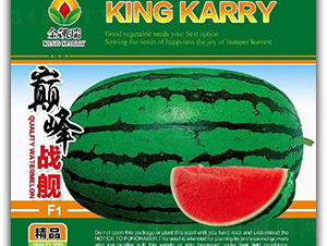 �p���(zh��n)Ş-���ϷN��-���P��