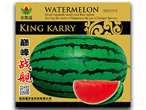 �p���(zh��n)Ş�N��-���ϷN��-���P��