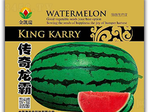 ��������-���ϷN��-���P��