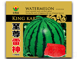 ��������-���ϷN��-���P��