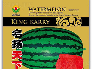 ���P����-���ϷN��-���P��