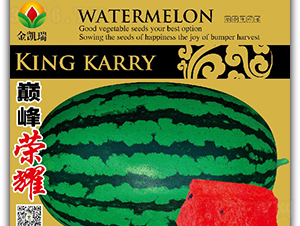 �p��sҫ-���ϷN��-���P��