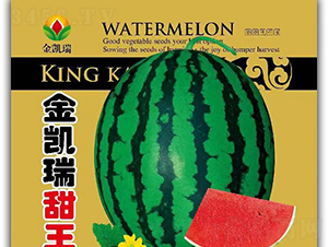 ���P������-���ϷN��-���P��