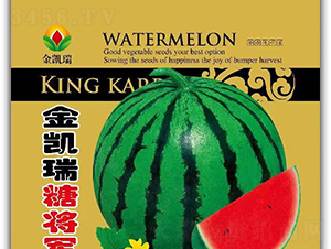 ���P���ǌ�܊-���ϷN��-���P��