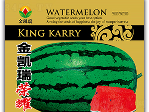 ���P��sҫ-���ϷN��-���P��