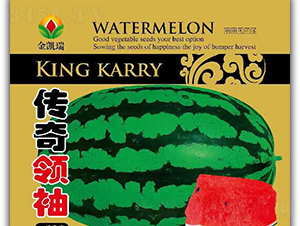 �����I(l��ng)��-���ϷN��-���P��