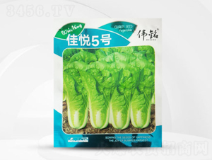 �ѐ�5̖-�ײ˷N��-��㑷N�I(y��)