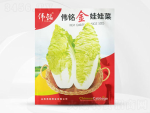 ��㑽����޲�-���޲˷N��-��㑷N�I(y��)