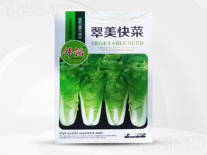 �������-�ײ˷N��-��㑷N�I(y��)