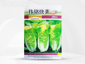 ��㑿��-�ײ˷N��-��㑷N�I(y��)