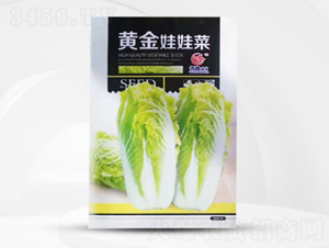 �S�����޲�-���޲˷N��-��㑷N�I(y��)