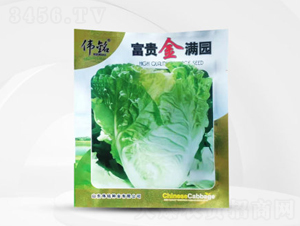 ���F��M�@-�ײ˷N��-��㑷N�I(y��)