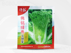 ��㑾G���偲�-�ײ˷N��-��㑷N�I(y��)