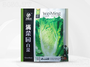 �M�ˈ@�ײ�-�ײ˷N��-��㑷N�I(y��)