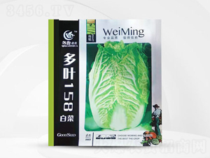 ���~158�ײ�-�ײ˷N��-��㑷N�I(y��)