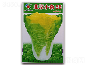 ����С�s56-�ײ˷N��-�����o