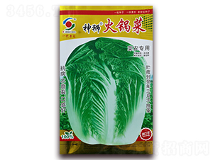 ��{��偲�-�ײ˷N��-�����o