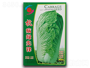 �����G���h-�ײ˷N��-�����o