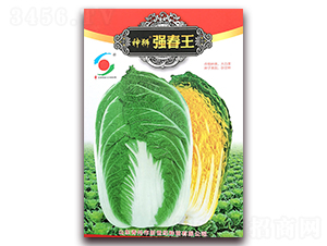 ��{������-�ײ˷N��-�����o