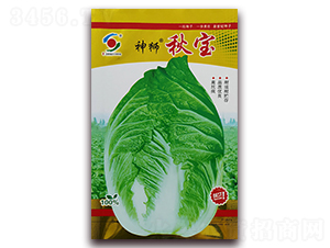 ��{�-�ײ˷N��-�����o