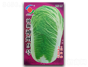 ��{����9̖-�ײ˷N��-�����o