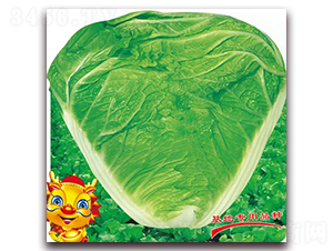 �ذ��¶�̖(h��o)-�ײ˷N��-�����o(j��)